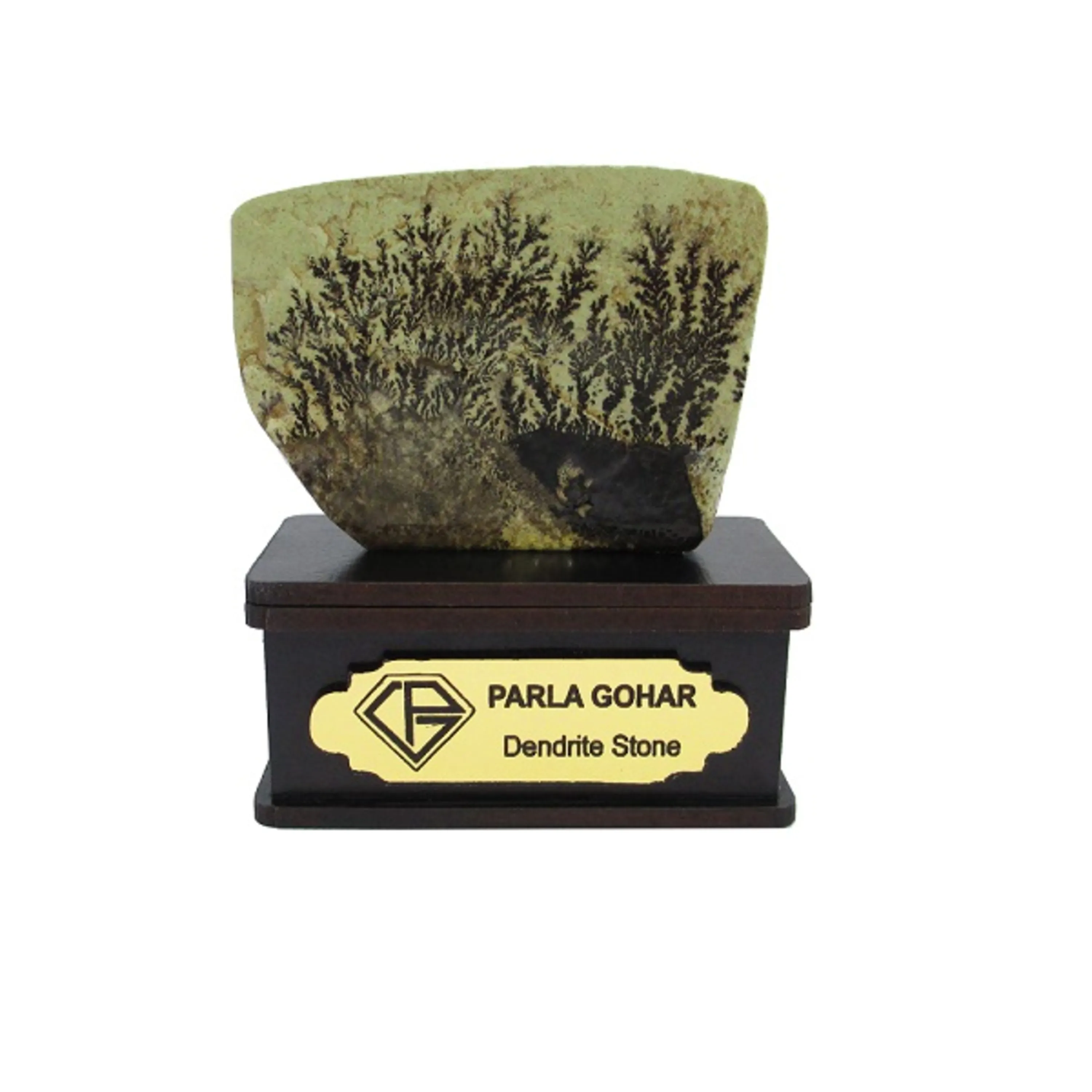 شجر راف کد 2331